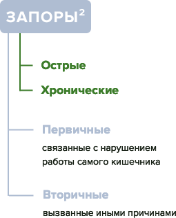 виды запоров